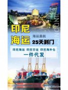 中国寄印尼海运空运专线，放心 安心