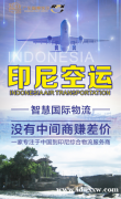 玩具模型从广州发到印尼空运双清包税直航专线