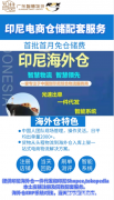 电池从浙江义乌发到印尼唐格朗双清包税到门