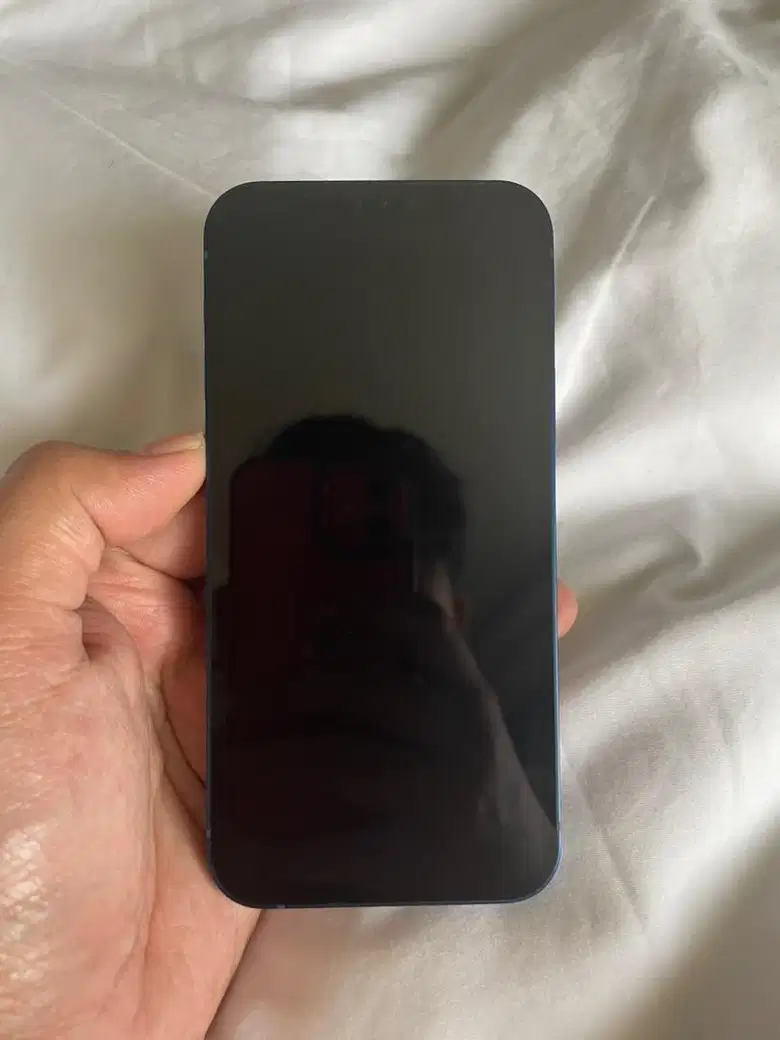苹果手机 12 蓝色/蓝色 64GB 国际