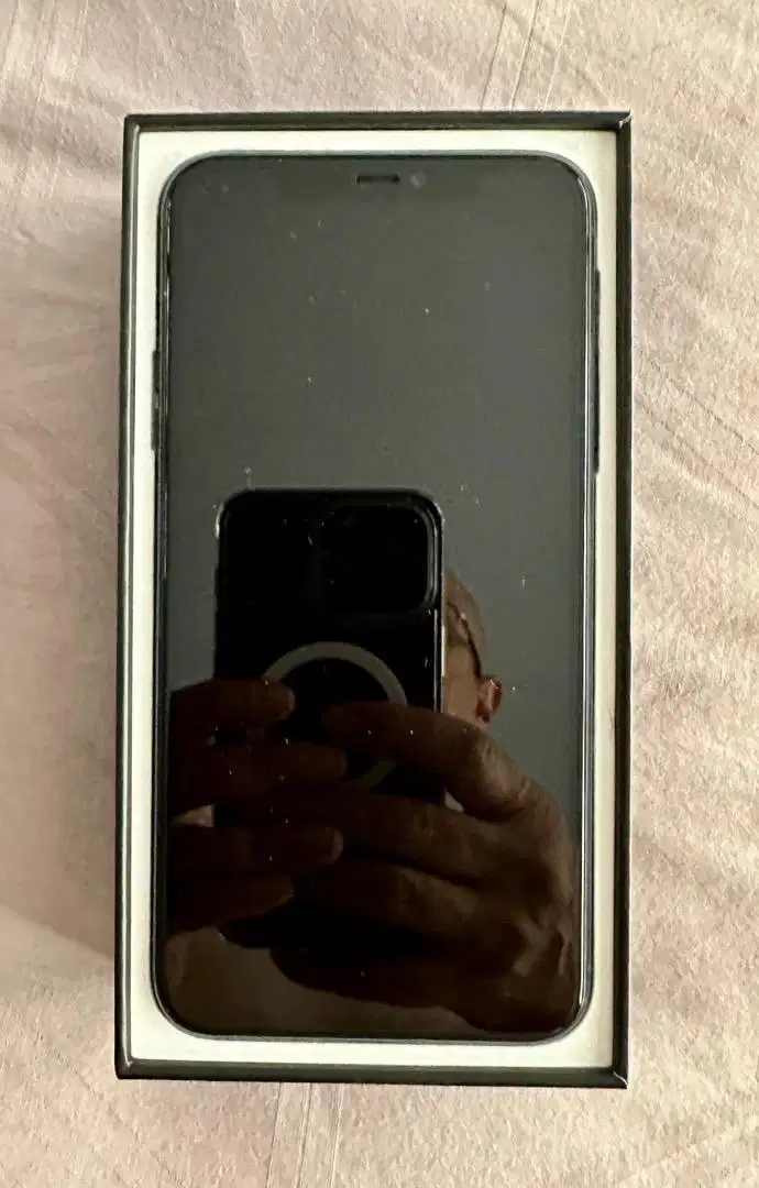 iPhone 11 Pro Max 256GB 双 SIM 