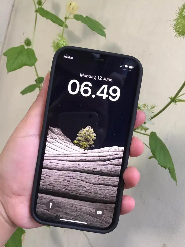 苹果手机 12 64GB 前 Ibox