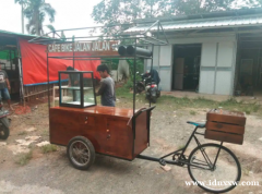 根据您的要求定制自行车推车