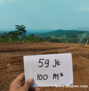 廉价地块路边茂物摄政