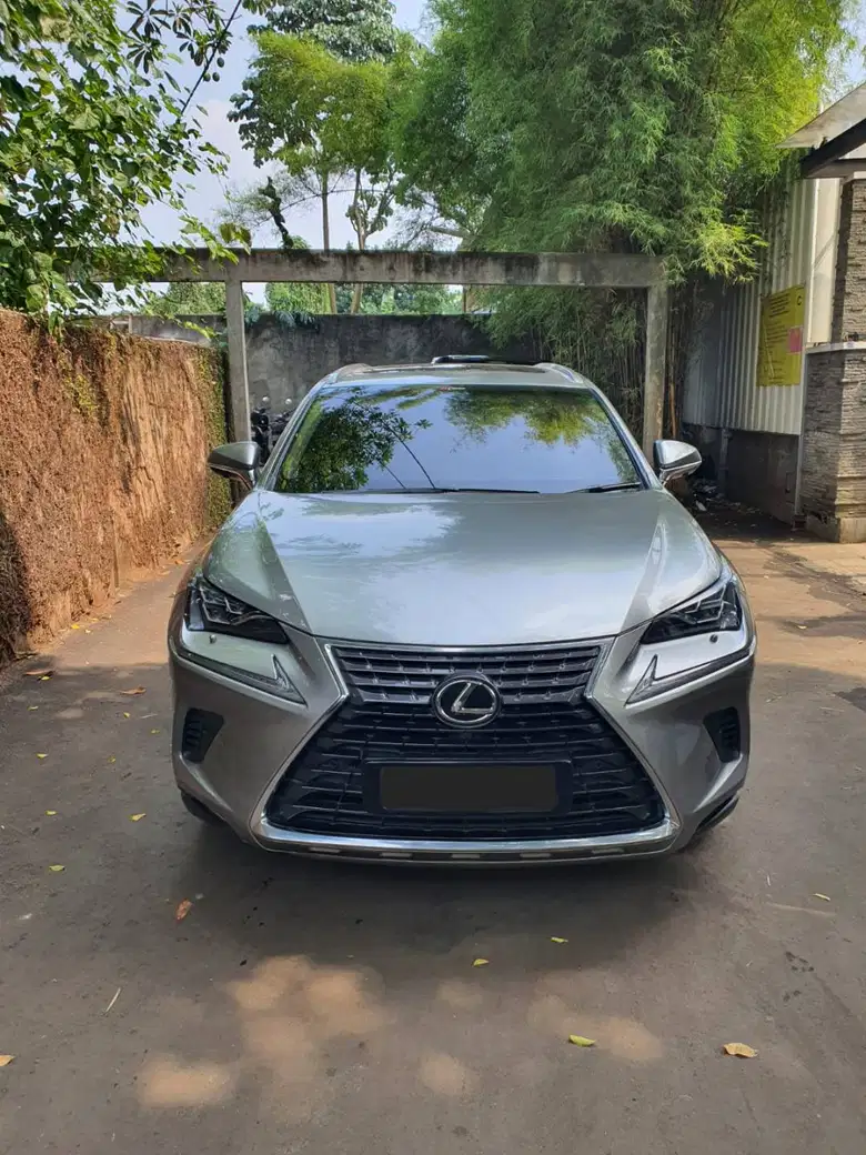 雷克萨斯NX300 （2018）
