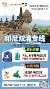 小家电整柜到雅加达清关派送到门