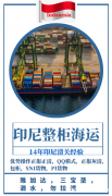 小家电整柜到雅加达清关派送到门
