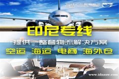 电子美容仪从广州海运到印尼物流双清包税门到门