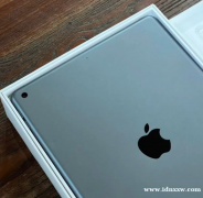 iPad 8 128GB 灰色无线网络 + 苹果铅笔