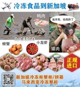 【中国运往新加坡】冷冻肉类冷链海运到新加坡专线-4