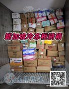 虎虾/九节虾/鲜虾海运空运到新加坡-冷冻食品清关公司
