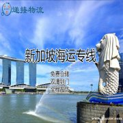 收纳盒和收纳箱海运到新加坡专业操作物流